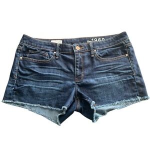 Gap • 1969 Dar Wash Summer Cut Offs